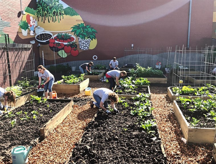 Launching Your Urban Community Garden Project – Urban Greenthumbs