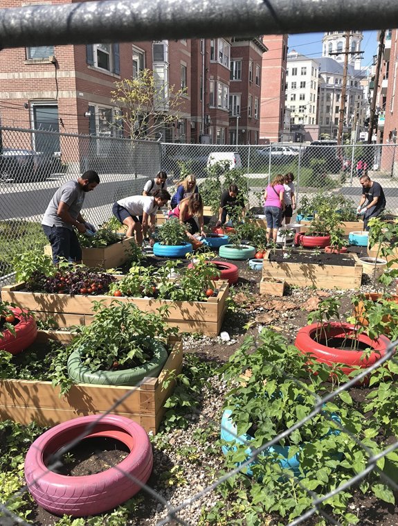 Overcoming Urban Garden Program Implementation Challenges – Urban ...